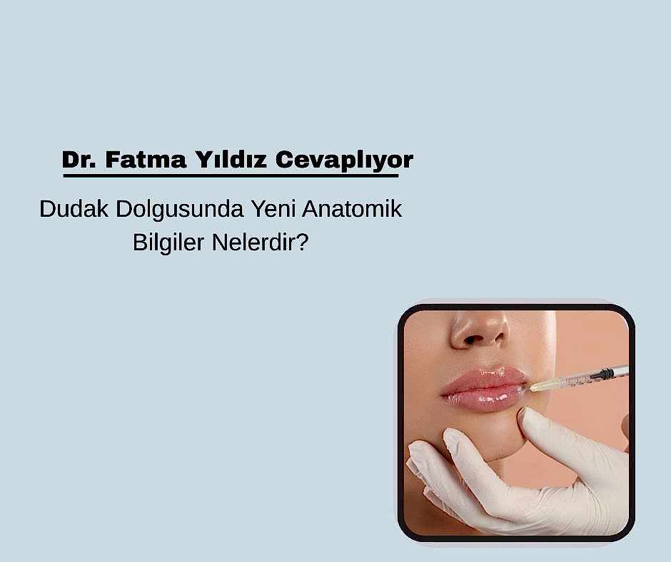 Dudak Dolgusu&nbsp;Yeni Anatomik Bilgiler Nelerdir?